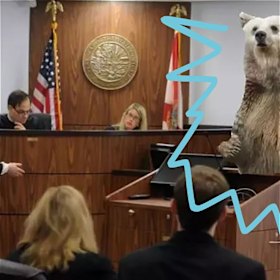 The People (Bears) v Goldilocks is on at Traincendance until October 19.