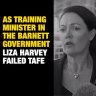Labor goes negative, pushes out ad attacking Liza Harvey on TAFE record