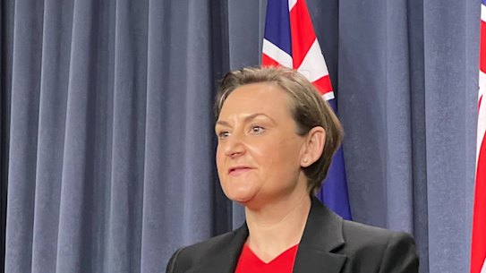 Health Minister Amber-Jade Sanderson said cases would peak at 10,000 per day. 