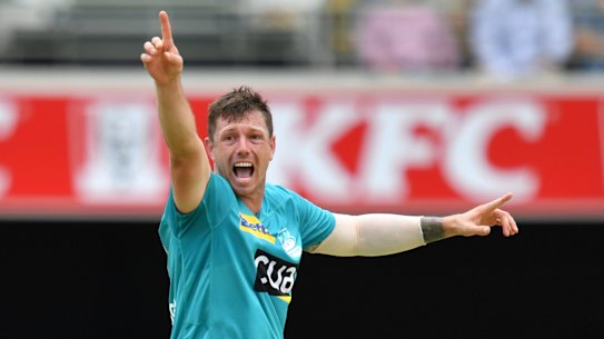 James Pattinson is weighing up a return to one of the Melbourne Big Bash teams next season.