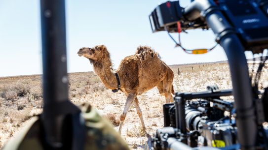 633 JudasCollar - Sonic and MOVI - Photo by 