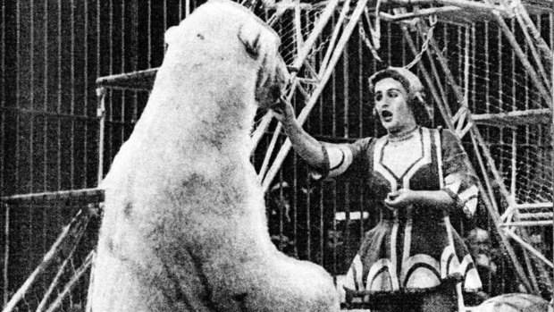 Doris Arndt with one of her polar bears.
