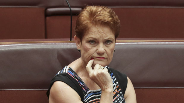 Senator Pauline Hanson said increasing JobSeeker removes incentive for recipients to find work.