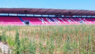 Overgrown: Xanthi FC’s home ground isn’t what it used to be. 
