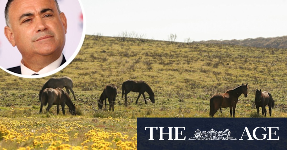 'Changed tune': Barilaro says parts of Kosciuszko should be horse-free - Vimarsana News