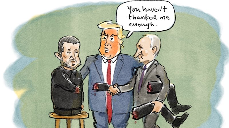 Best of cartoons, November 25, 2025