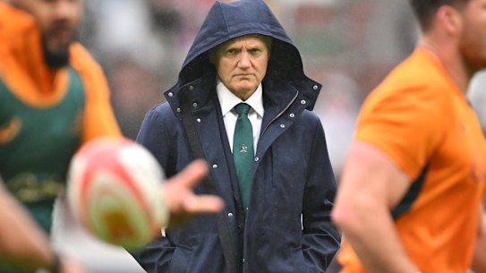 Wallabies coach Joe Schmidt has experienced pressure in Dublin as a coach with Leinster and Ireland