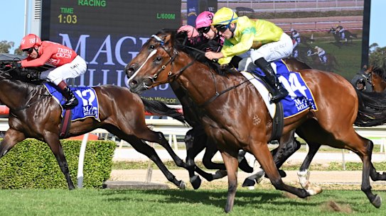 Wyong races Wednesday: Flying Rani and Matthew Smith eye back-to-back wins