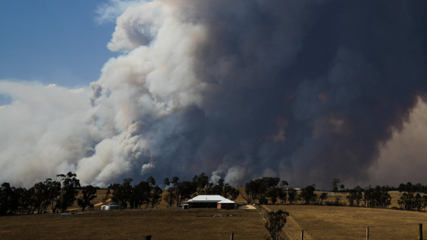Smoke plumes from a fire in East Gippsland.