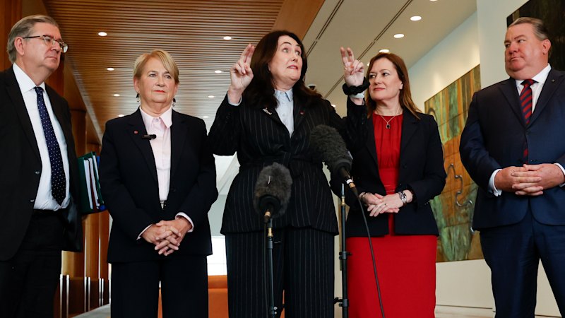 Political rivals continue scrutiny of KPMG after ‘wolf’ audit controversy