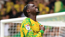 Toure celebrates a goal for Norwich.