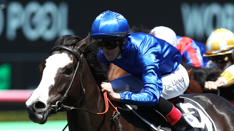 Godolphin exceeds expectations, even with numbers down