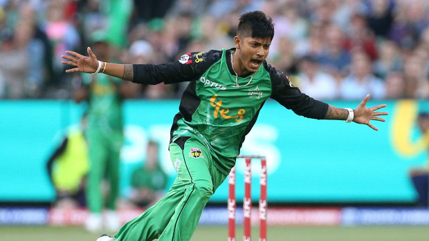 Sandeep Lamichhane will play in Bangladesh before returning to the Melbourne Stars.