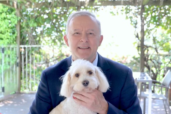 Opposition Leader Anthony Albanese with his dog, Toto.
