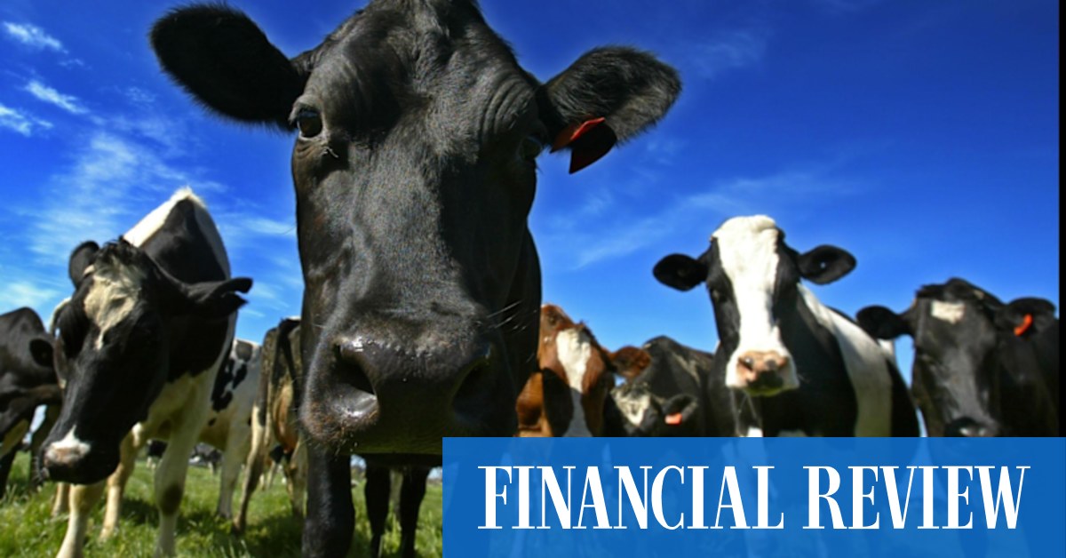 UK farmers: Don't give anyone else a trade deal like Australia's - Vimarsana News