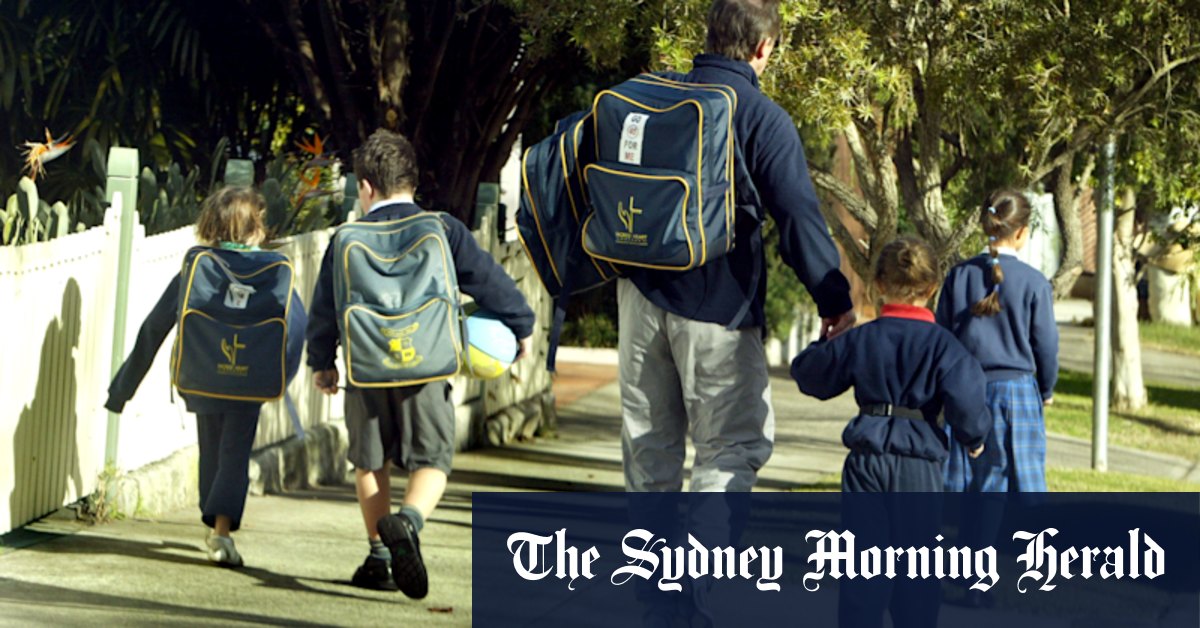 NSW school vouchers: Parents face delays for $500 after-school care vouchers for primary school children - Vimarsana News