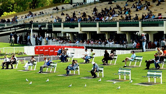Spectators and seagulls watch the races at Sandown in 2004