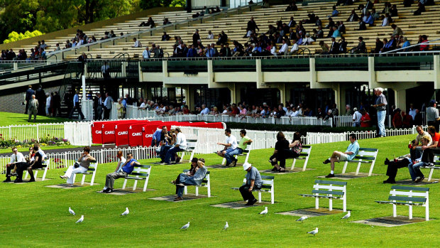 Spectators and seagulls watch the races at Sandown in 2004
