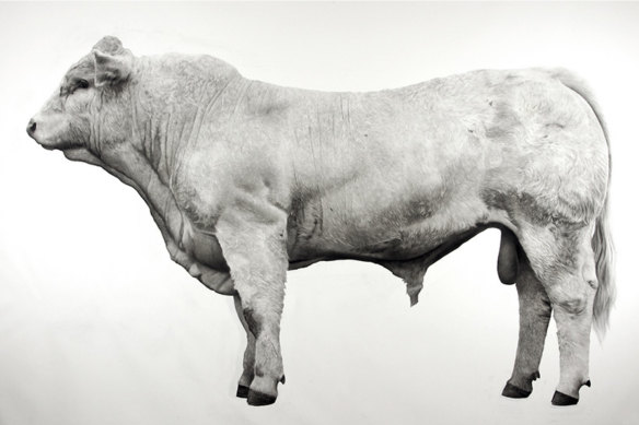 This majestic 179cm-tall brahman bull is part of the exhibition.