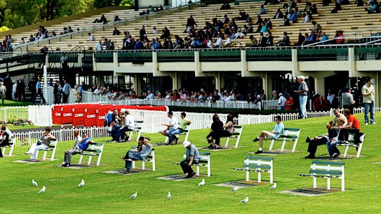 Spectators and seagulls watch the races at Sandown in 2004