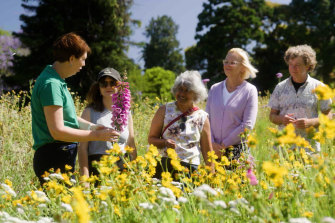 The Volunteer Guide program at The Gardens has been running since 1982.