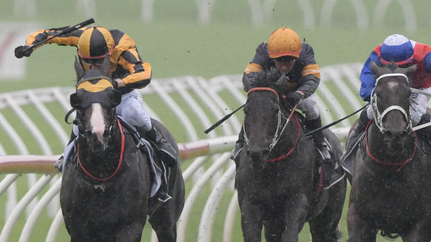 Emotional win: Blake Shinn rides Trapeze Artist (far left) to victory in the Canterbury Stakes. 
