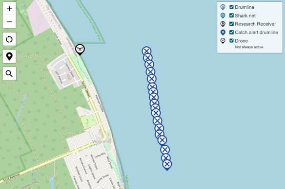 The Queensland government has used drumlines to control sharks in the area where a 17-year-old girl was fatally attacked.
