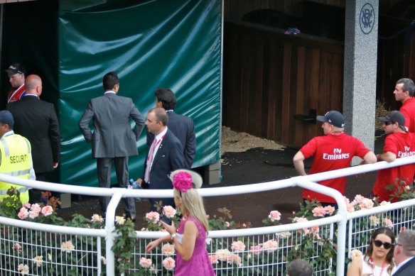 2014 Melbourne Cup race favourite Admire Rakti died in its stalls in full view of the racegoers.