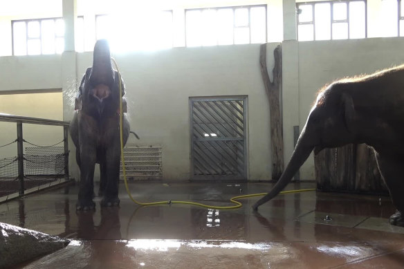 Mary (left) and Anchali, who grabbed the hose during Mary’s wash. 