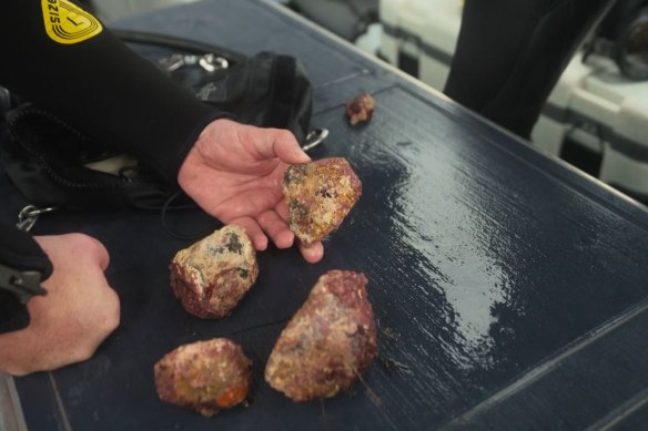 Local elders said the tools were used to cut and skin animals such as possums.