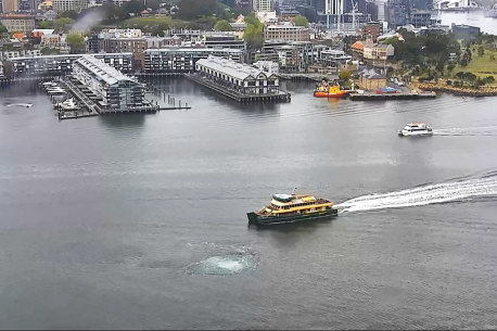 The moment Sydney’s ‘Metro Man’ feared the worst for new harbour rail tunnels