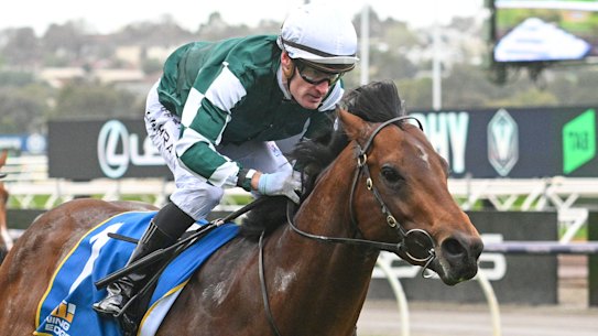 Star colt Growing Empire will represent Yulong in the Everest.