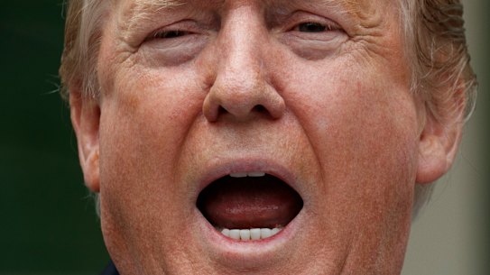 US President Donald Trump delivers a statement in the Rose Garden of the White House.
