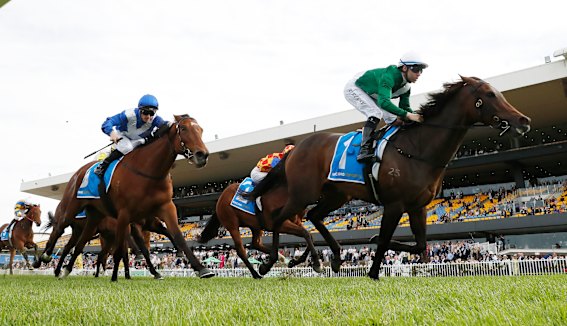 The ATC owns Rosehill Gardens racecourse and two other Sydney tracks.