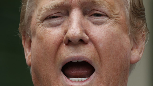 US President Donald Trump delivers a statement in the Rose Garden of the White House.