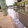 Tidal flooding in the Brisbane suburb of Newstead, February 2025.