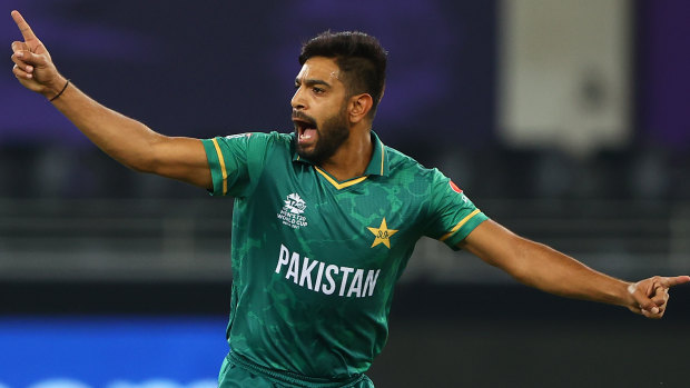 Haris Rauf celebrates a wicket against Afghanistan.