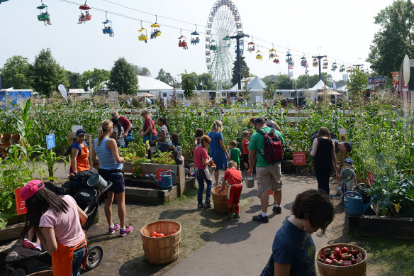 Little farm hands: the event is, at heart, an agricultural expo.