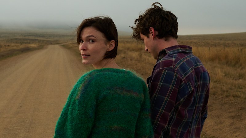 When the tree-change dream becomes a nightmare, that’s Alphabet Lane