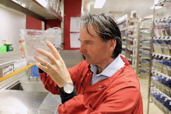 “It fully restored the architecture of the muscle, it was remarkable,” says Professor Currie.