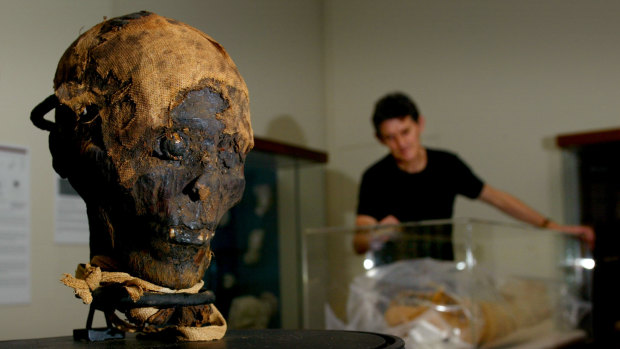The mummified head will be withdrawn from public display in April. 
