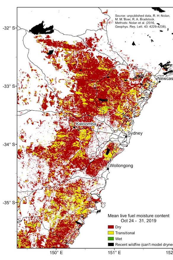 Satellite maps show most the live plant moisture levels around Sydney are the driest in almost two decades.