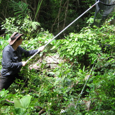 Dr Trevor Lambkin hunts for butterflies on Dauan Island in the Torres Strait in 2010