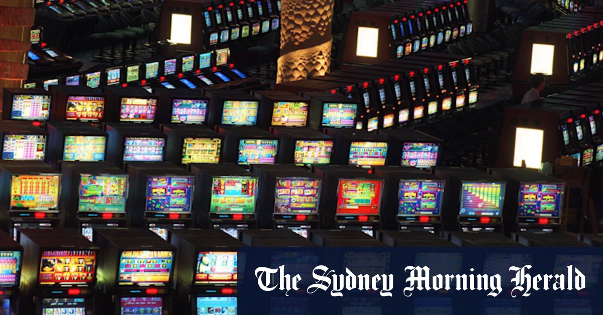 Inaction on pokies harm is gambling with lives