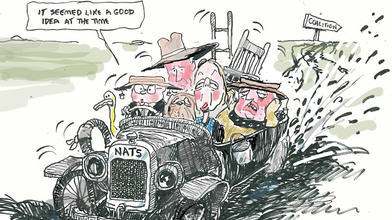 Cartoons of the week