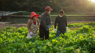 The Ajimu Farm stay experience.