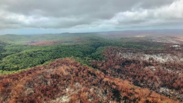 The fire that ravaged Fraser Island has finally been contained. 