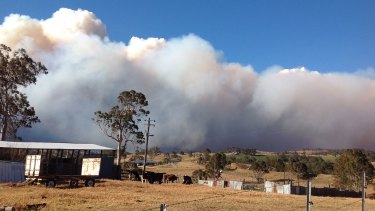 A 300-hectare fire burns out of control at Bemboka. 