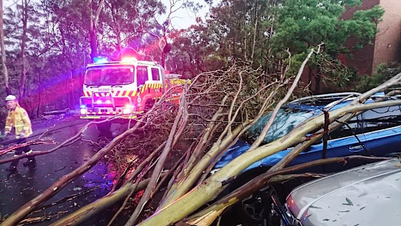 'Devastating': Thousands of homes still without power after Sydney storm