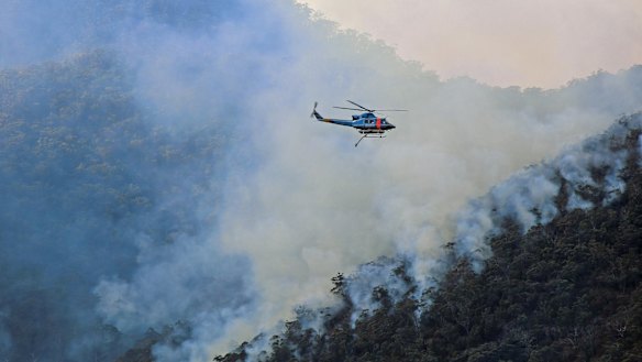 Home destroyed, damaged in NSW south coast bushfire in Bemboka, near Bega